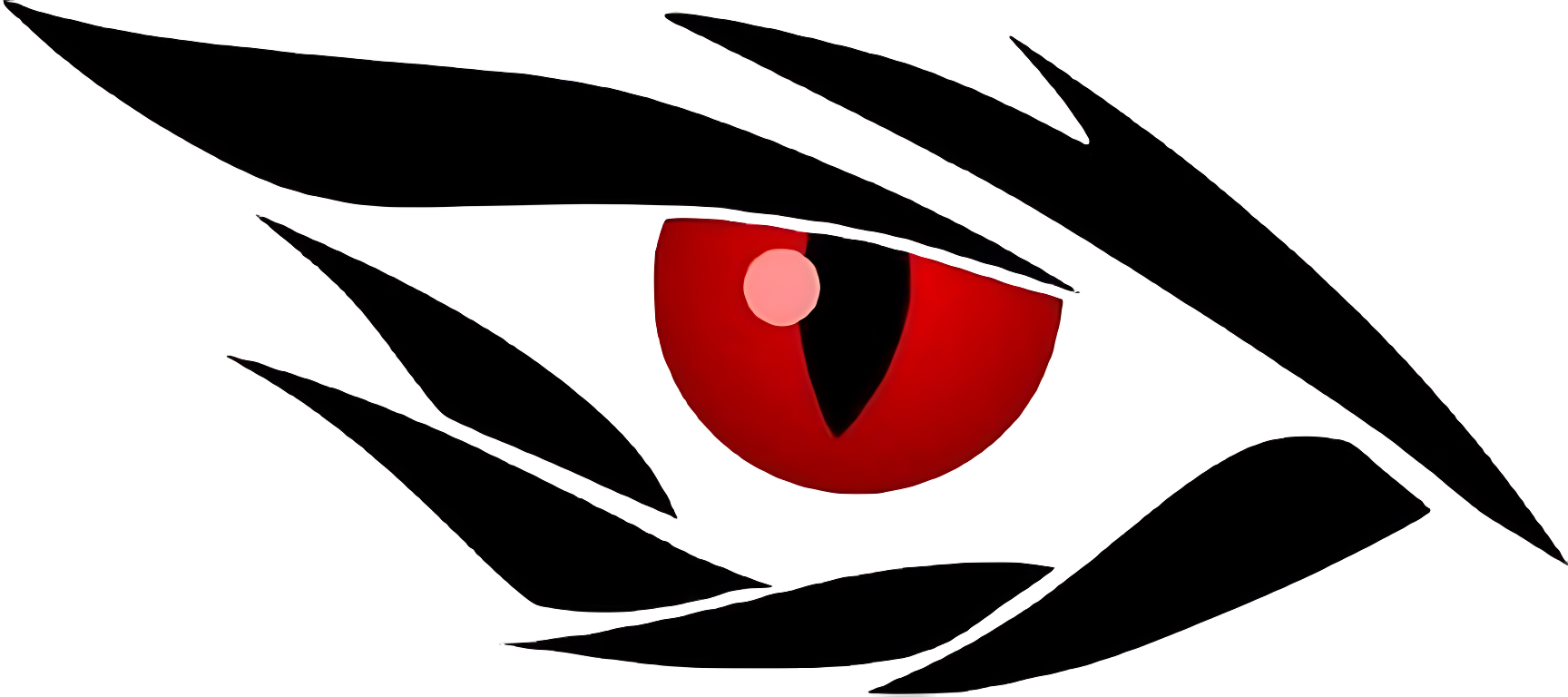 Left Eye Image
